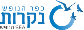 ספא כפר הנופש נקרות - ראש הנקרה