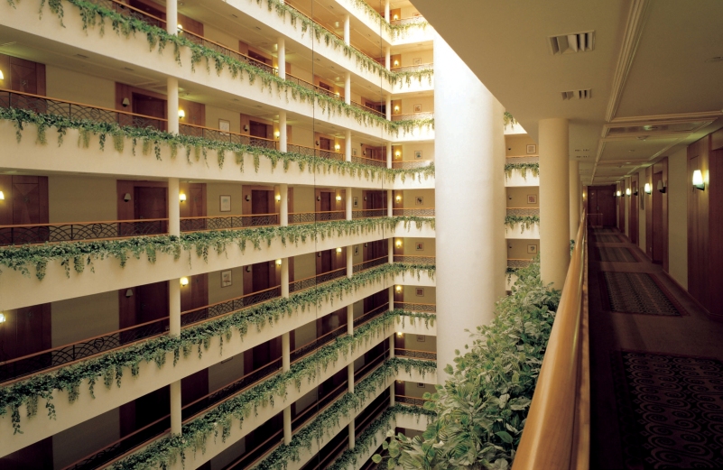 ספא מלון דיוויד ים המלח