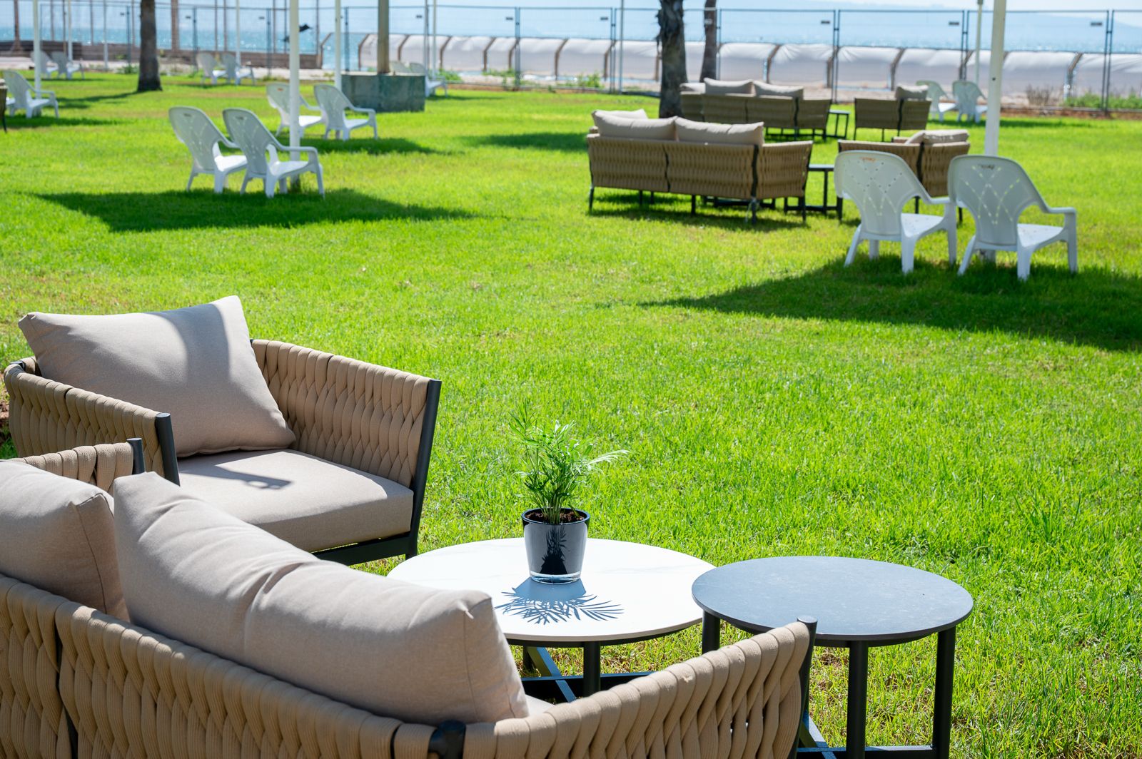 ספא חוף התמרים